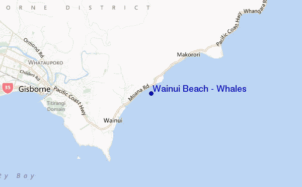 Wainui Beach - Whales location map