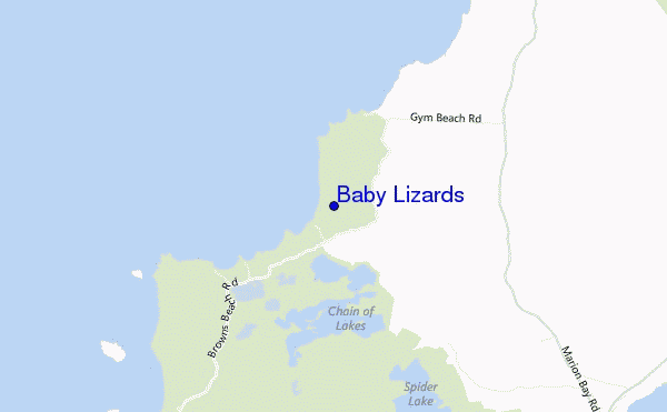 locatiekaart van Baby Lizards