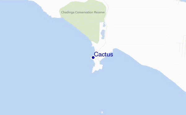 locatiekaart van Cactus