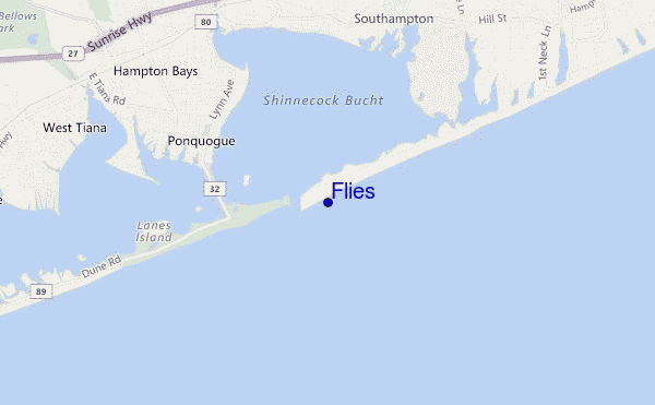 locatiekaart van Flies