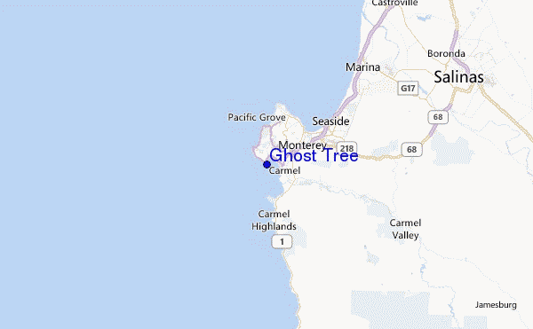 Ghost Tree Location Map
