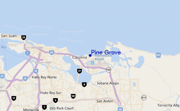 locatiekaart van Pine Grove
