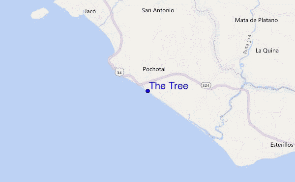 locatiekaart van The Tree