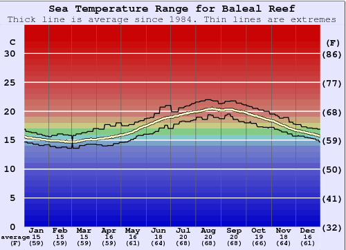 Baleal Reef Zeewatertemperatuur Grafiek