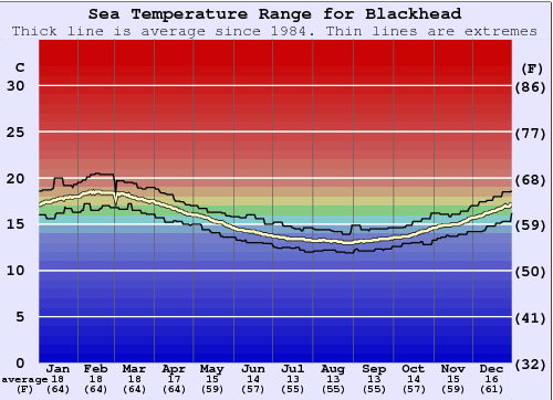 Blackhead Zeewatertemperatuur Grafiek