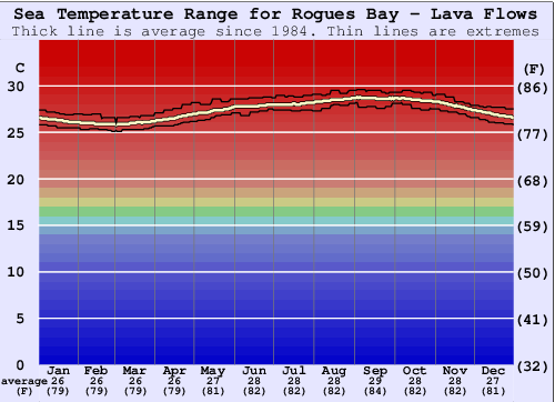 Rogues Bay - Lava Flows Zeewatertemperatuur Grafiek