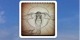 Flaglersurf